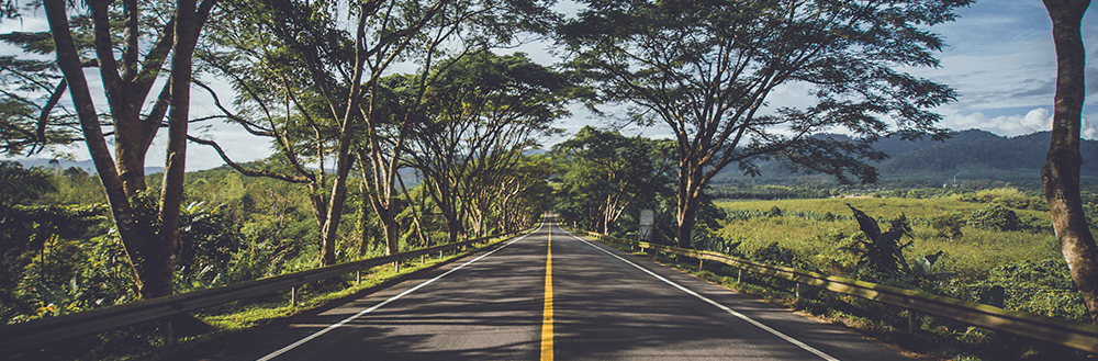 What I’ve learned from road trips Image